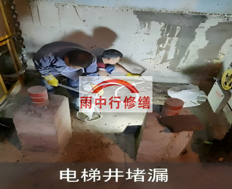 黄南星雨华府电梯井堵漏案例